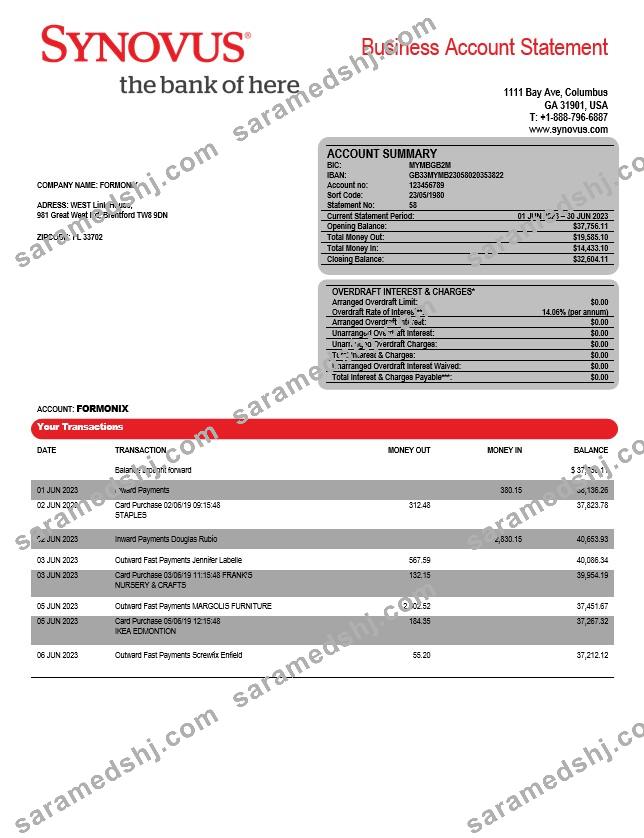Synovus Bank enterprise statement Word and PDF template